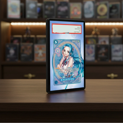 Pirate Era Extended Art Slab Display Frame