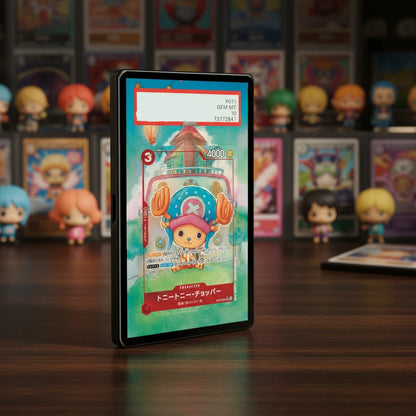 Pirate Era Extended Art Slab Display Frame