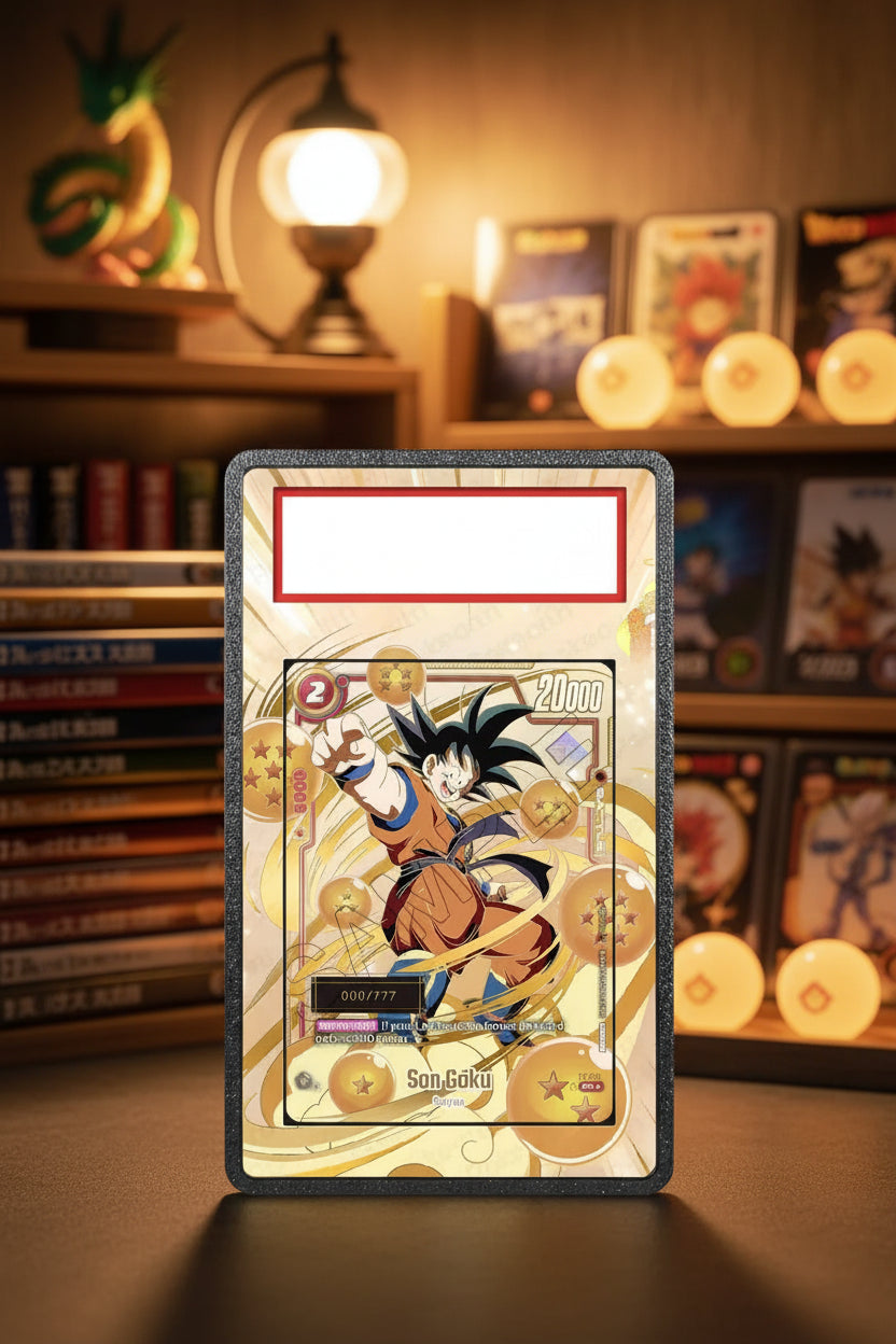 Omni Extended Art Slab Display Case