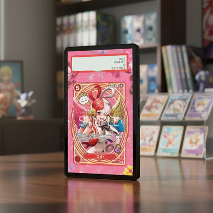 Pirate Era Extended Art Slab Display Frame