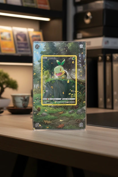 Mini Collectors Extended Art Display Case