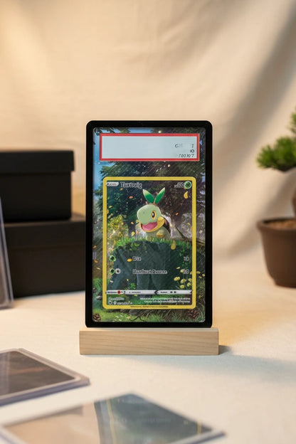 Mini Collectors Extended Art Display Case
