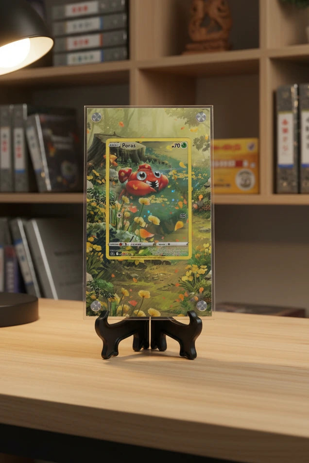 Mini Collectors Extended Art Display Case