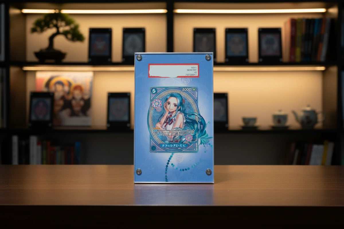 Pirate Era Extended Art Slab Display Frame