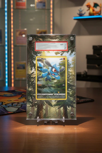 Mini Collectors Extended Art Display Case