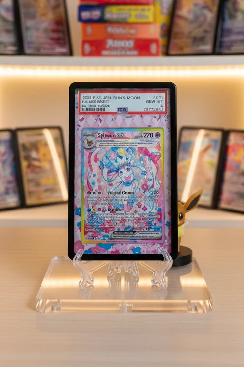 Cats Evolution Extended Art Slab Display Frame