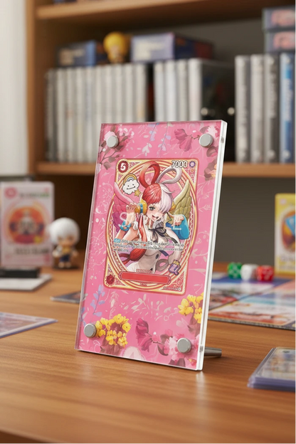 Pirate Era Extended Art Slab Display Frame