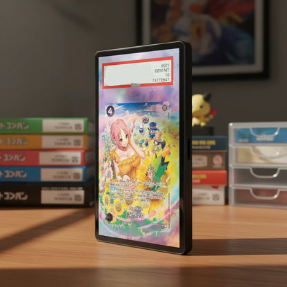 Pirate Era Extended Art Slab Display Frame