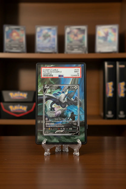 Vault Series SAR/SIR Extended Art Slab Display Frame